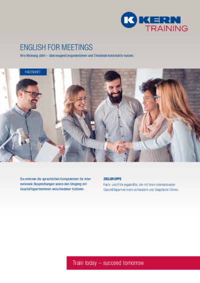 PDF Download Factsheet English for Meetings
