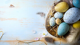 Oster-Special 2022 Ein Osternest mit bunten Eiern und gepunkteten Federn für das Osterspecial 2022.
